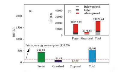 地理資源所揭示中國陸地生態系統生物能值時空動態分布規律與生物質能資源數據庫信息系統的構建